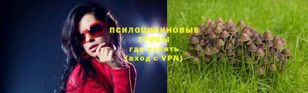 гашиш Бронницы